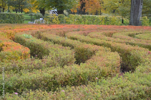 Fototapeta Labyrinth Garden