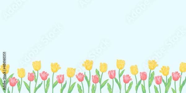 Fototapeta チューリップイラスト　春の背景　黄色とコーラルピンクの花