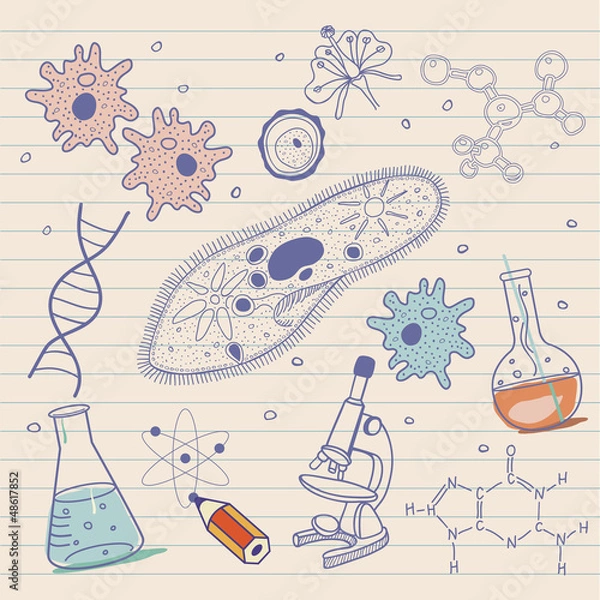Obraz Biology sketches background in vintage style