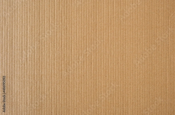 Obraz Cardboard texture background