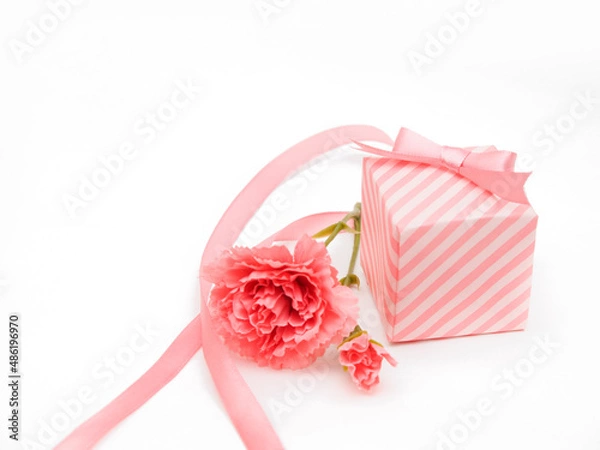 Obraz カーネーションとギフトボックス