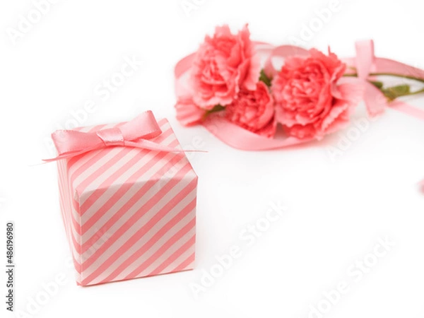 Obraz カーネーションとギフトボックス