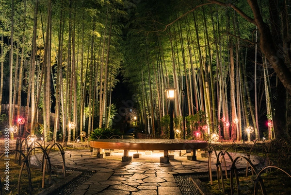 Obraz 冬の夜にライトアップされた修善寺温泉街の遊歩道