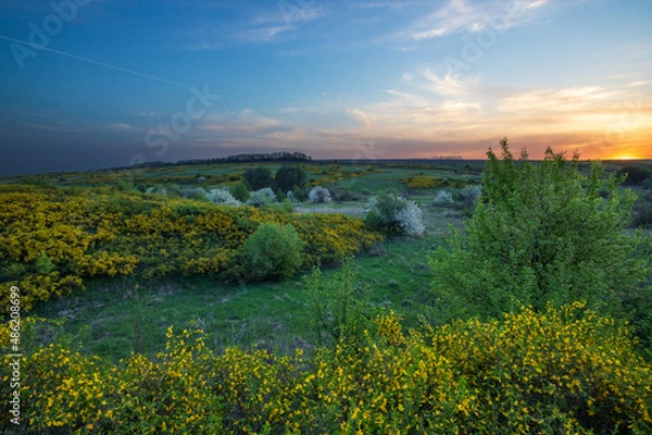 Obraz landscape with river and sky