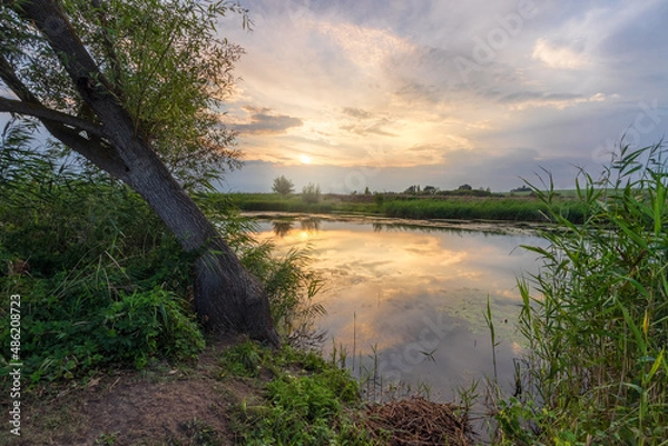 Obraz sunset over the river