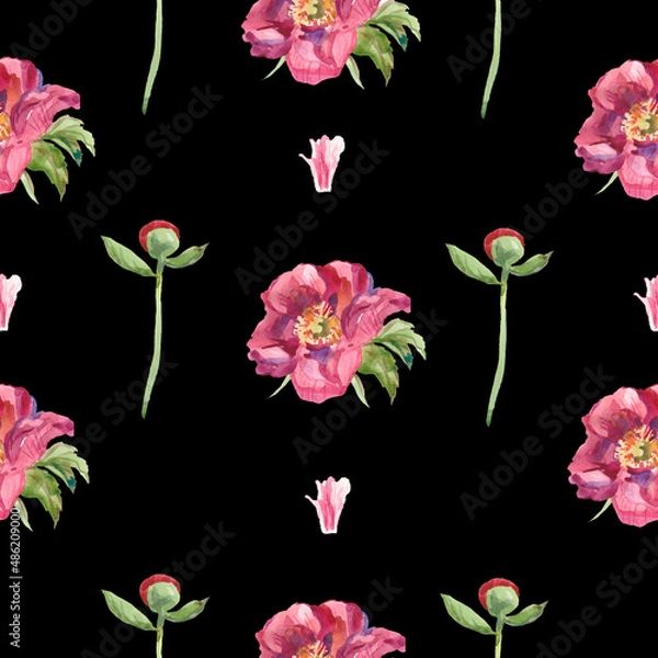 Obraz Watercolor seamless pattern with pink peonies on black background. Spring, botanical, floral hand painted print.Designs for scrapbooking, packaging, wrapping paper, social media, textiles, fabric.