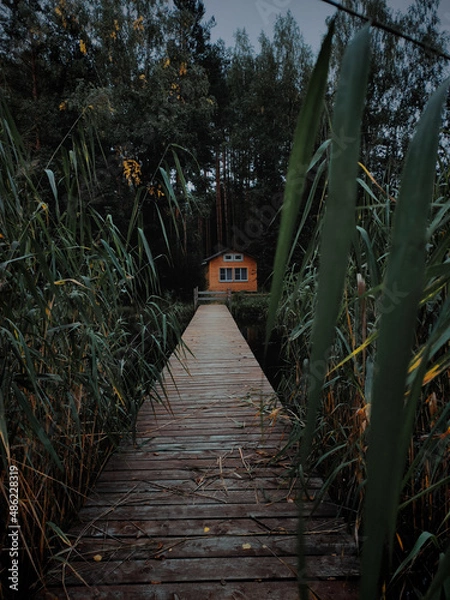 Fototapeta Small house on the lake and a wooden bridge through the reeds