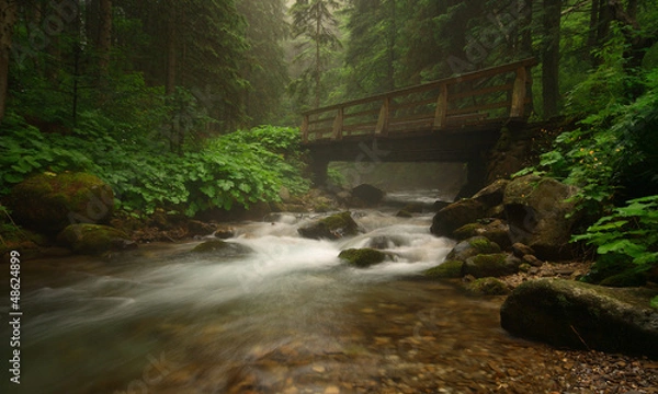 Obraz Potok Olczyski