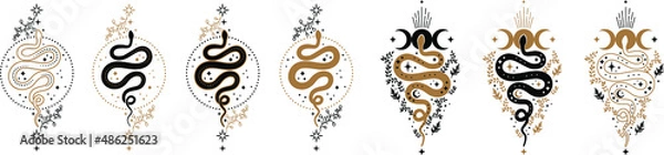 Fototapeta floral snake, magic celestial snake with crescent moon,star and moon phases. Mystical witchy symbol. Cosmic serpent and celestial bodies. Boho style print logo tattoo designs