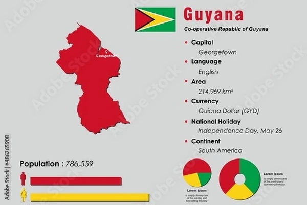 Fototapeta Guyana infographic vector illustration complemented with accurate statistical data. Guyana country information map board and Guyana flat flag