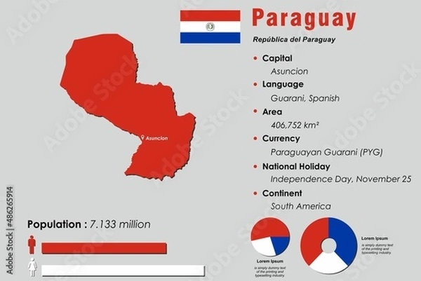 Fototapeta Chile infographic vector illustration complemented with accurate statistical data. Chile country information map board and Chile flat flag