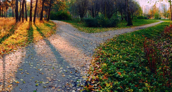 Fototapeta A wide path in the rays of the setting sun on the outskirts of the park is divided into two paths, diverging in different directions. Autumn conceptual landscape