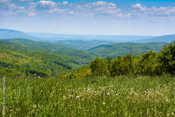 Obraz meadow and mountains