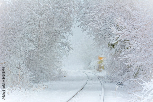 Obraz snow covered tracks