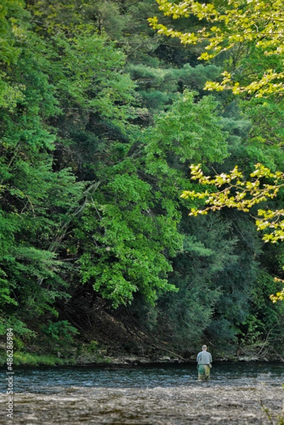 Obraz fishing stream