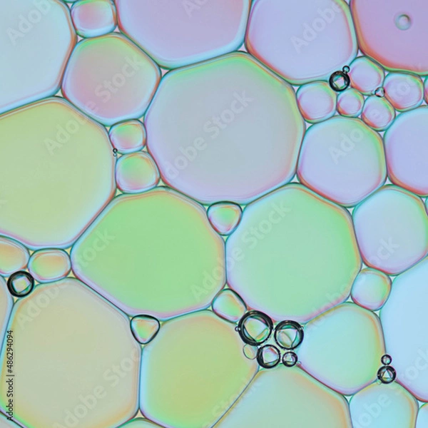 Obraz beautiful and bright macro backgrounds	