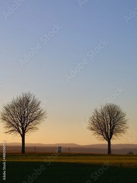 Obraz Bäume im Abendlicht