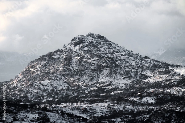 Obraz Filomena Snow Day