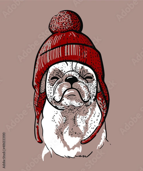 Fototapeta Portrait of a cute smiling Pug dog in a knitted hipster hat with Pom pom. Vector line art illustration.Print for postcard, poster, t-shirt, sticker