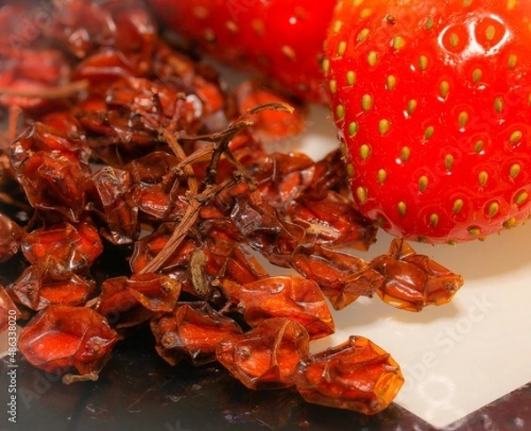 Obraz STRAWBERRY AND ASHberry