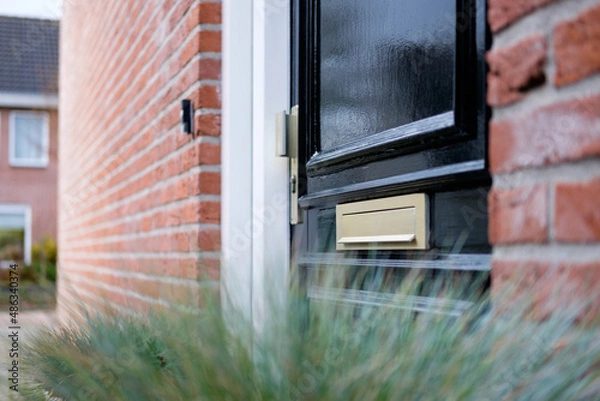 Obraz Front door with letter box