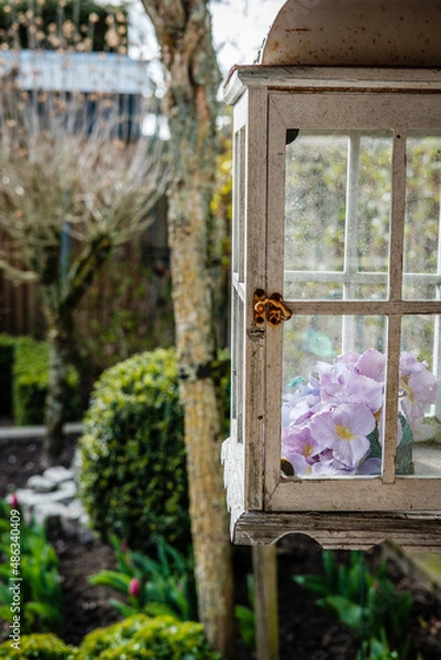 Obraz Flowers and lantern in garden