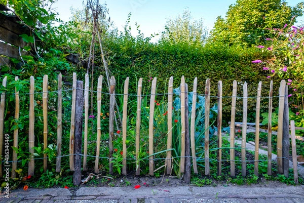 Obraz Vegetable garden with fence