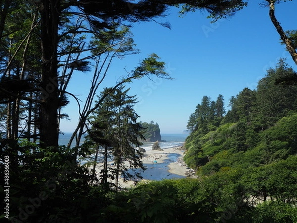 Fototapeta looking for the beach between the threes