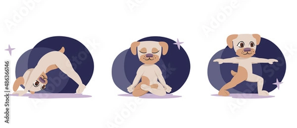 Obraz Dog in different yoga poses. Anthropomorphic animal in cartoon style