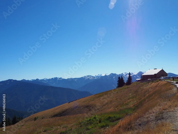 Fototapeta from the top