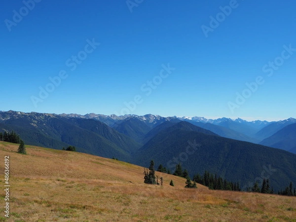 Fototapeta OLYMPUS DIGITAL CAMERA