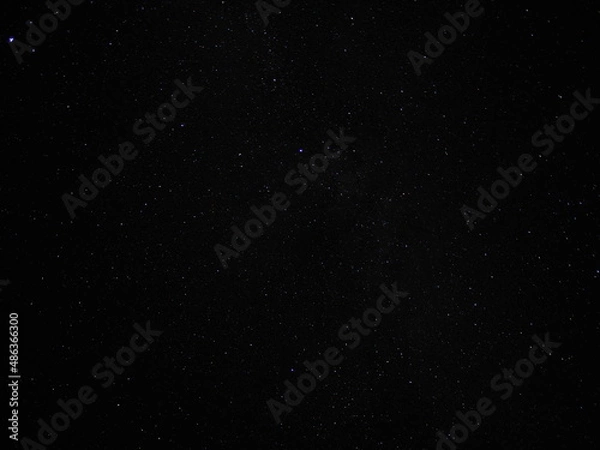 Fototapeta Starry Night in Olympic National Park