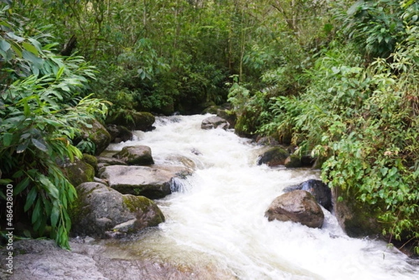 Fototapeta 氾濫した川