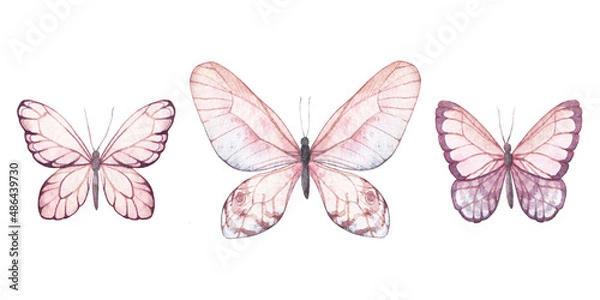 Obraz watercolor butterflies hand drawn illustrations, isolated elements on white background
