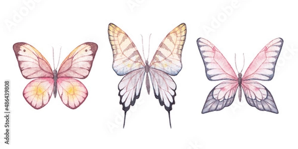 Obraz watercolor butterflies hand drawn illustrations, isolated elements on white background