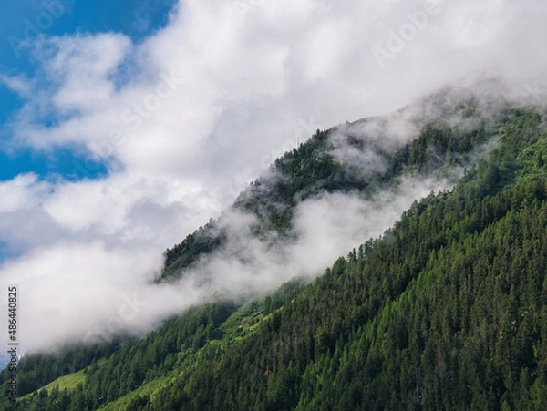 Fototapeta In the Pennine Alps, also called the Valais Alps: Wooded mountain slope with fog and clouds in the morning. Seen in the Swiss Alpine valley "Val d'Anniviers" (in German "Eifschtal"). 