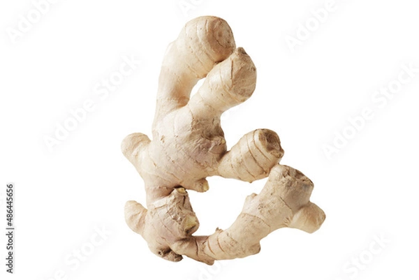 Obraz Fresh ginger isolated on white background