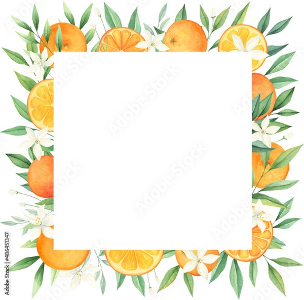 Fototapeta Orange citrus watercolor frame isolated on white background. Summer wedding invitation, greeting card. 