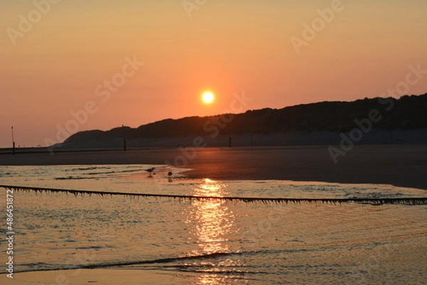 Obraz seagall, move, Meer