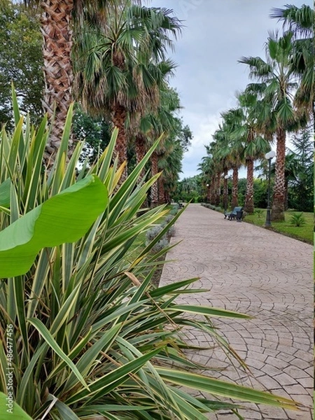 Obraz Природа Сочи