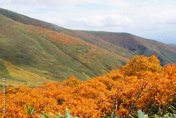 Obraz 月山の紅葉