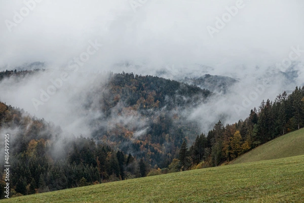 Obraz Hochschwarzwald