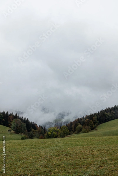 Obraz Hochschwarzwald