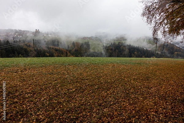 Obraz Hochschwarzwald