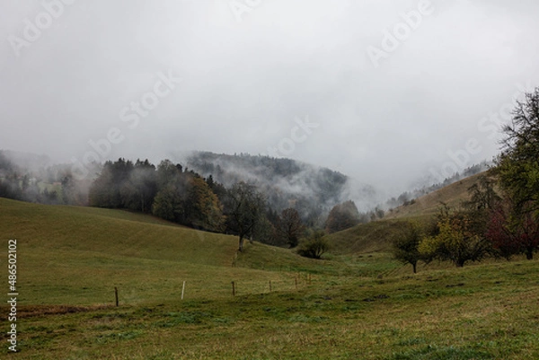 Obraz Hochschwarzwald