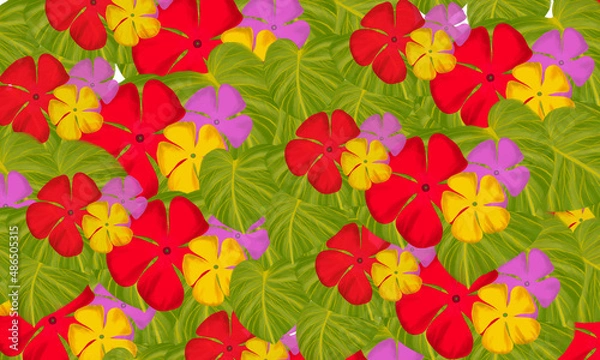 Fototapeta Colorful red ,yellow and pink  tropical flower with green leaves hand drawn  watercolor digital painting  wallpaper  design background