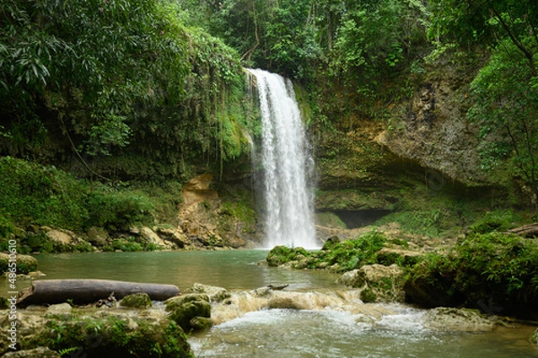 Fototapeta Idelyc cascade in tropical south american country