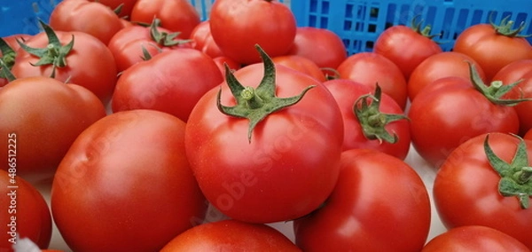 Obraz Delicious fresh beef tomatoes.