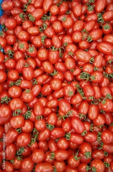 Fototapeta Fresh red cherry tomatoes