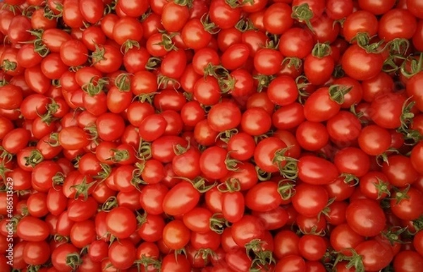 Fototapeta Red cherry tomatoes